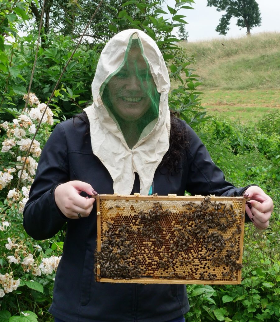 Ein Besuch bei den Honigbienen