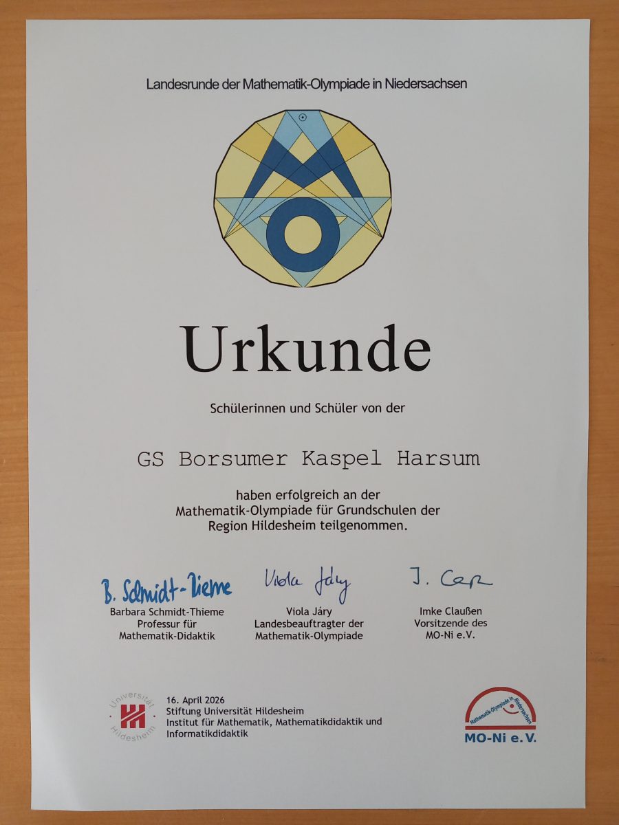 Mathematikolympiade 3. Runde an der Universität Hildesheim